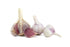 RawJoy Organic Fresh Purple Garlic by Farms