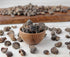 Amla Amla Immunity Amla (500grams) AnNafi Dried Fruit | Indian Gooseberry | Berry High Content of Vitamin C Natural