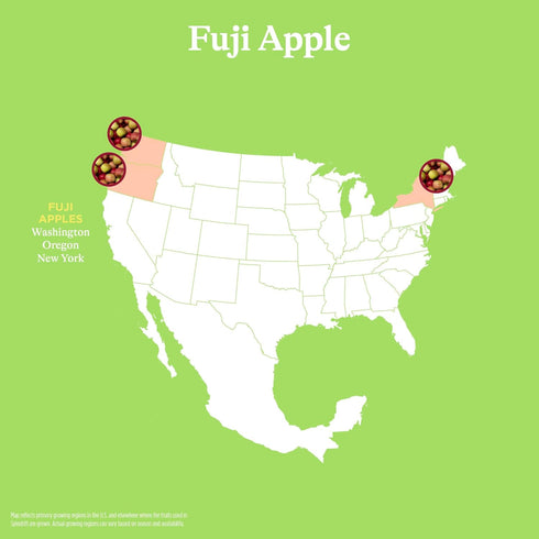 12 (Pack 24) Spindrift Fuji Apple Can Ounce