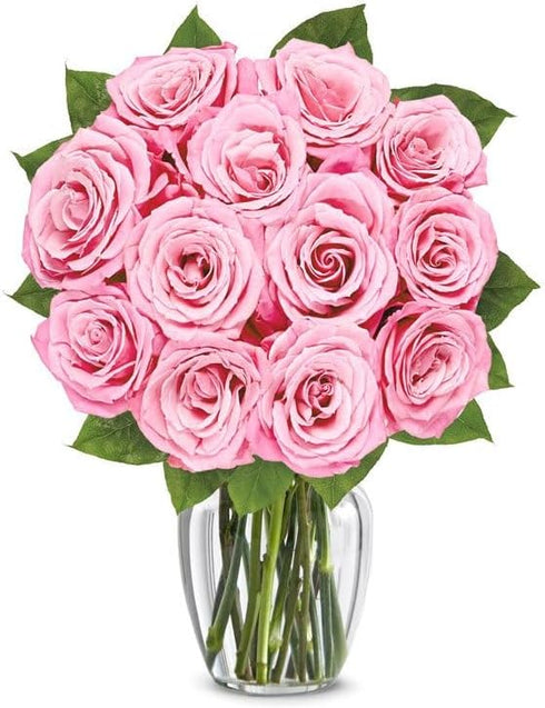 From You Flowers - One Dozen Light Pink Roses with Glass Vase