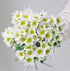 20 Stems Fresh White Daisies Flowers Good Maintenance Long Flowering Hydroponic Flower Arrangement Gifts For Home