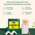 (100 VAHDAM, Lemon Ginger Tea Bags Green Tea Bags) Low Caffeine | Fruity Flavor - Zesty Lemon & Ginger, Orange Peel |