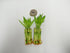 Athena's Garden B-SS04 4" 4" Bamboo Stalks with Shoots, Green