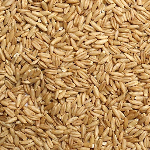 JOJO'S ORGANICS Jojo's Certified Organic Non-GMO Whole Uncut Hulled Oat Groats 5 lbs Bulk