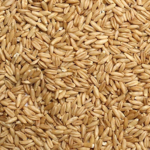 JOJO'S ORGANICS Jojo's Certified Organic Non-GMO Whole Uncut Hulled Oat Groats 5 lbs Bulk
