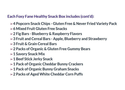 60-Count 60 Pack Foxy Fane Holiday Gift Box - Assortment of Healthy Snacks & Treats - Perfect Variety for Back