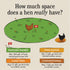 18 Count Vital Farms, Eggs Pasture Raised Large