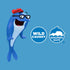3.6 oz (Pack 5) StarKist Snack-To-Go Ready to Eat Meals Tuna Salad Kit, Classic Tuna Salad with Crackers Kit