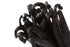 (10 Pack) Papua New Guinea Vanilla Beans Whole Grade A Vanilla Pods for Homemade Vanilla Extract, Baking, Ice Cream