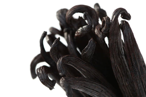 (10 Pack) Ecuadorian Vanilla Beans Whole Grade A Vanilla Pods for Homemade Vanilla Extract, Baking, Ice Cream