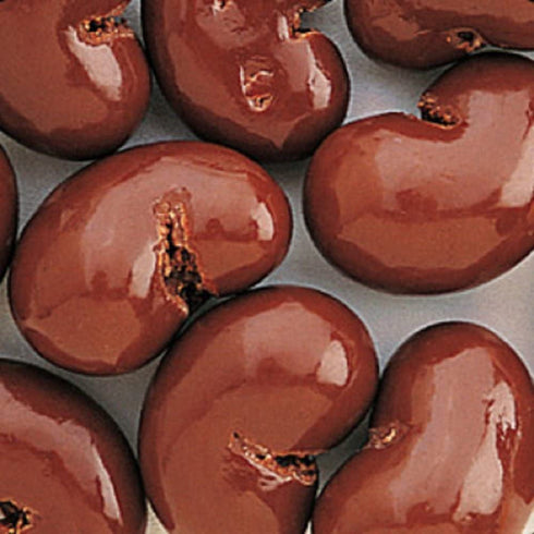 The Nutty Fruit House Gourmet Milk Chocolate Covered Cashews 1LB Bag