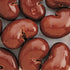 The Nutty Fruit House Gourmet Milk Chocolate Covered Cashews 1LB Bag