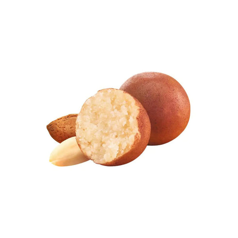 100g (3.5oz) 12 Niederegger Marzipan Potatoes - | pieces per box | Kosher.