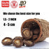 16 oz., 4-5cm FUYUKI Dried Mushrooms Dried Shiitake Mushrooms Dehydrated Mushrooms Premium Top Grade Shiitake Mushrooms