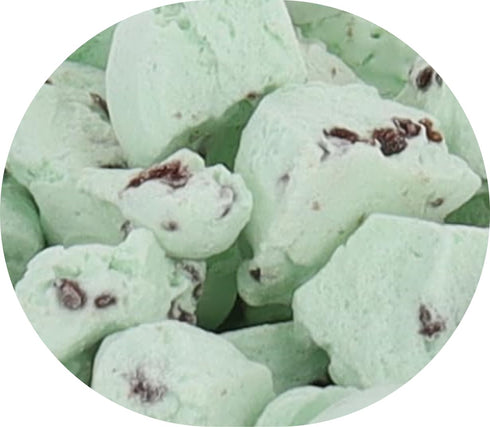 Mint Chocolate Chip Freeze Dried Ice Cream by Arctic Farms - No Melt Treat