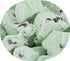 Mint Chocolate Chip Freeze Dried Ice Cream by Arctic Farms - No Melt Treat