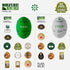 500+ 2025 16.9 oz Fruity Medium Organic mg/kg Polyphenols Rich Italian Extra Virgin Olive Oil from Italy, Gold Award