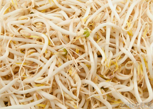 Microgreens,16 packed Mung Bean Seeds for Sprouting ounces, A superfood with antioxidants and health-promoting