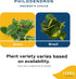 Costa Farms Philodendron Live Plant, Grower's Choice Indoor House Plant, Easy to Grow Vining Houseplant in Decorative