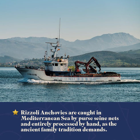 1.62 (46 (Pack 1) MANGIAR BENE RIZZOLI | Anchovy Fillets in Olive | Hand Made | MSC-Certified Sustainable Seafood, High