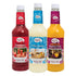 Master of Mixes Fruity Frozen FUNdamentals Variety Pack: Pina Colada, Strawberry Daiquiri,