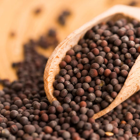 10.4 oz, Birch & Meadow Brown Mustard Seeds, Whole Seeds, Hot & Spicy Flavor, Marinades & Condiments