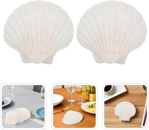 20pcs 10-12cm Set Luxshiny Natural Scallop Shells for Baking and Serving Food, Seashell Plates for Bbq Cooking