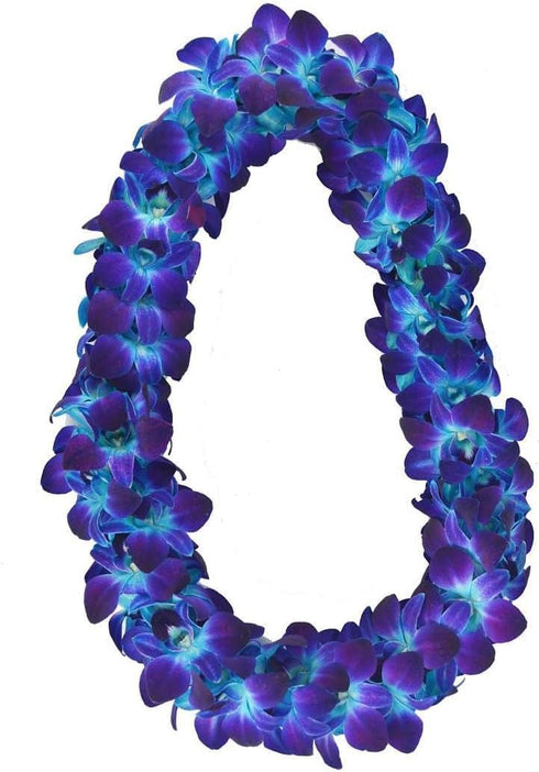 (50 Miami Fresh Orchid Flower OrchidClub USA Sunne Tropical Loose Bloom DIY Lei, food & drink decoration BLUE)