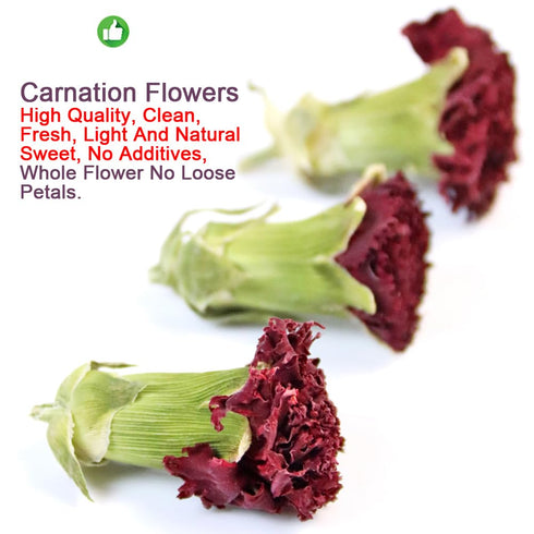 Plant Gift 100% 100% 45g/1.58oz Herbal Carnations Flowers Tea,Chinese Flower tea, natural carnation tea health