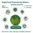 100% (7.05 oz 200g) SaltWise Salicornia White Salt Low Sodium Salt Substitute, Plant-Based Mineral Salt, Kosher