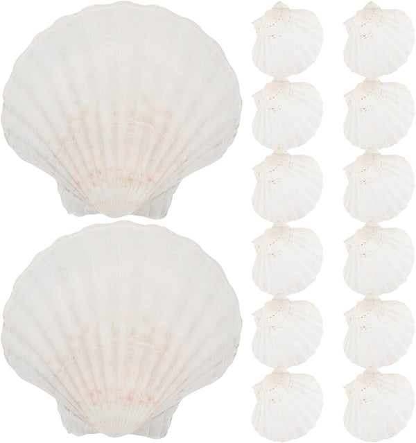 Luxshiny 20pcs Natural Scallop Shells for Baking and Serving Food, 10-12cm Seashell