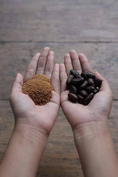 2 (Pack 1) Big Tree Farms Organic Brown Coconut Sugar - Coconut Palm Sugar, Unrefined, Fine Crystals, Cane Sugar