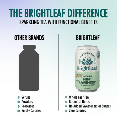 12oz BrightLeaf Mint Lavender Sparkling Tea for Relaxation and Digestion Caffeine-Free, Zero Sugar, Calories