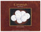 Cavanagh Company Cavanagh White Altar Communion Bread 1 1/8" (1000 Count) - Box of