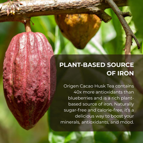 100% 8 oz Origen Cacao Husk Tea Natural Cacao Shell Zero Sugar, Caffeine-Free Superfood Healthy Chocolate Tea