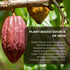 100% 8 oz Origen Cacao Husk Tea Natural Cacao Shell Zero Sugar, Caffeine-Free Superfood Healthy Chocolate Tea