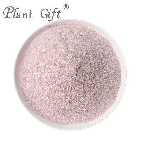 Plant Gift 100% 100G/3.25oz Pure Taro Flour Natural Taro Powder, Great Flavor for Drinks, Smoothie, Yogurt, Baking