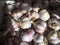 S&C Fresh Organic Italian Garlic, Must Have for Gourmet Italian Cuisine, USDA Certified
