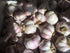 S&C Fresh Organic Italian Garlic, Must Have for Gourmet Italian Cuisine, USDA Certified