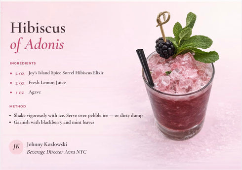 Joy's Island Spice 25oz SORREL HIBISCUS ELIXIR - Non-Alcoholic Cocktail Mixer & Mocktail - Caribbean Botanical Aperitif