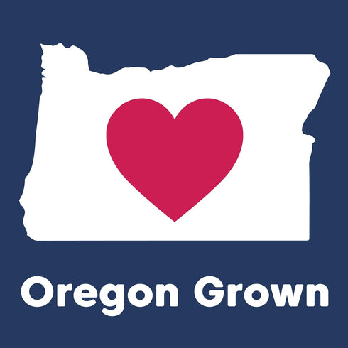 (2 32 Wilderness Poets, Organic Oregon Blueberries (Sweetened with Organic Apples) - Whole Dried Fruit Pound - Ounce)