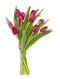 KaBloom Flowers -Valentine's Day Collection - 10 Red Tulips without vase, Gift