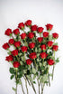 Cassiolina (24) Fresh Cut Freedom Red Roses Bouquet, Premium Long Stem Red Roses, Fresh Cut Roses for Valentines Day