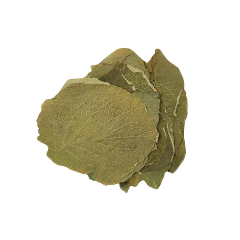 Morel Distribution Company 2 oz 4 oz. (2 oz) Hoja Santa Yerba Santa Leaf Leaves Herb Herbal Tea Mexican pepperleaf: