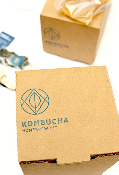 Urban Kitchen Kombucha 1 Starter Kit Includes Organic SCOBY, Starter Liquid, Gallon Glass Jar, Temp Gauge, Tea