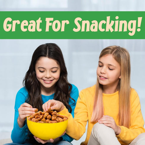 Lb. Sincerely Nuts Honey Roasted Cashews | Two Bag | Deluxe Kosher Snack Food | Healthy Source of Protein & Nutritional