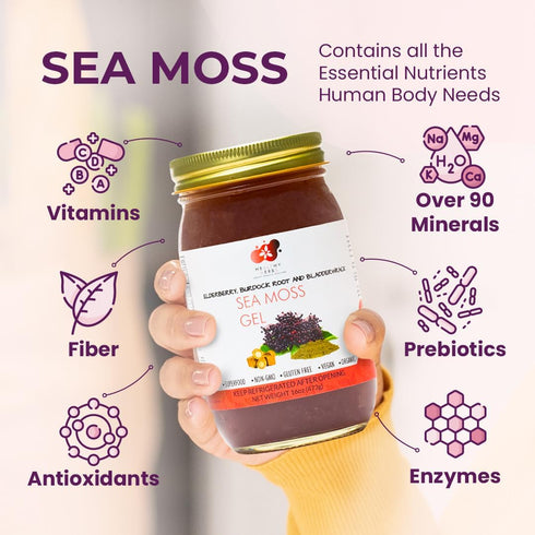 90 (16 oz.) Healthy Herbs Sea Moss Gel (Elderberry) Wildcrafted from Jamaican St Lucia Gold Seamoss | Wild-Harvested