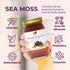 90 (16 oz.) Healthy Herbs Sea Moss Gel (Elderberry) Wildcrafted from Jamaican St Lucia Gold Seamoss | Wild-Harvested