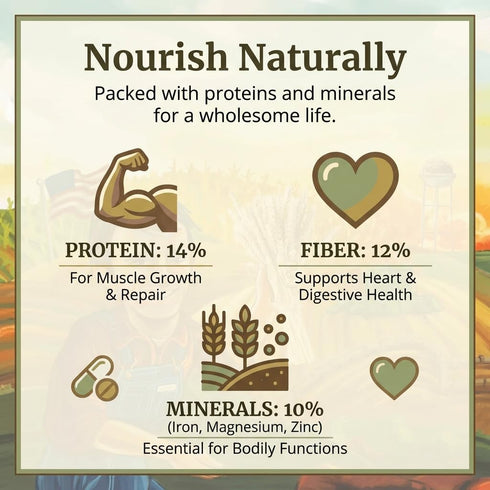 5lb Red Fife Hard Red Winter Wheat Hard Red Wheat Berries Whole Wheat Berries Bulk Heirloom Non-Hybrid Non-GMO Heritage