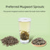 HANFANGLING Mugwort Leaf Herbal Tea Loose Leaf Natural Mugwort Sprouts 1.76oz
